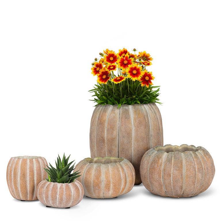 Mini Tall Pumpkin Planter
