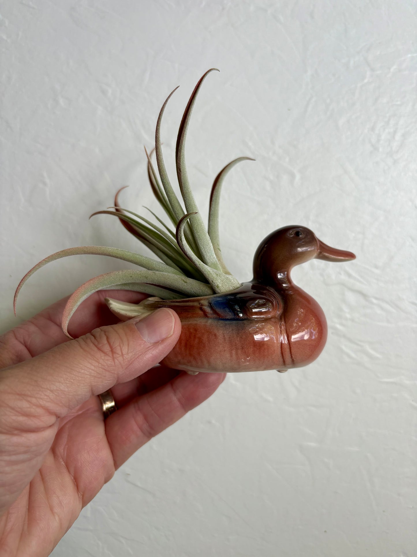 Tiny Ceramic Duck Planter Pair