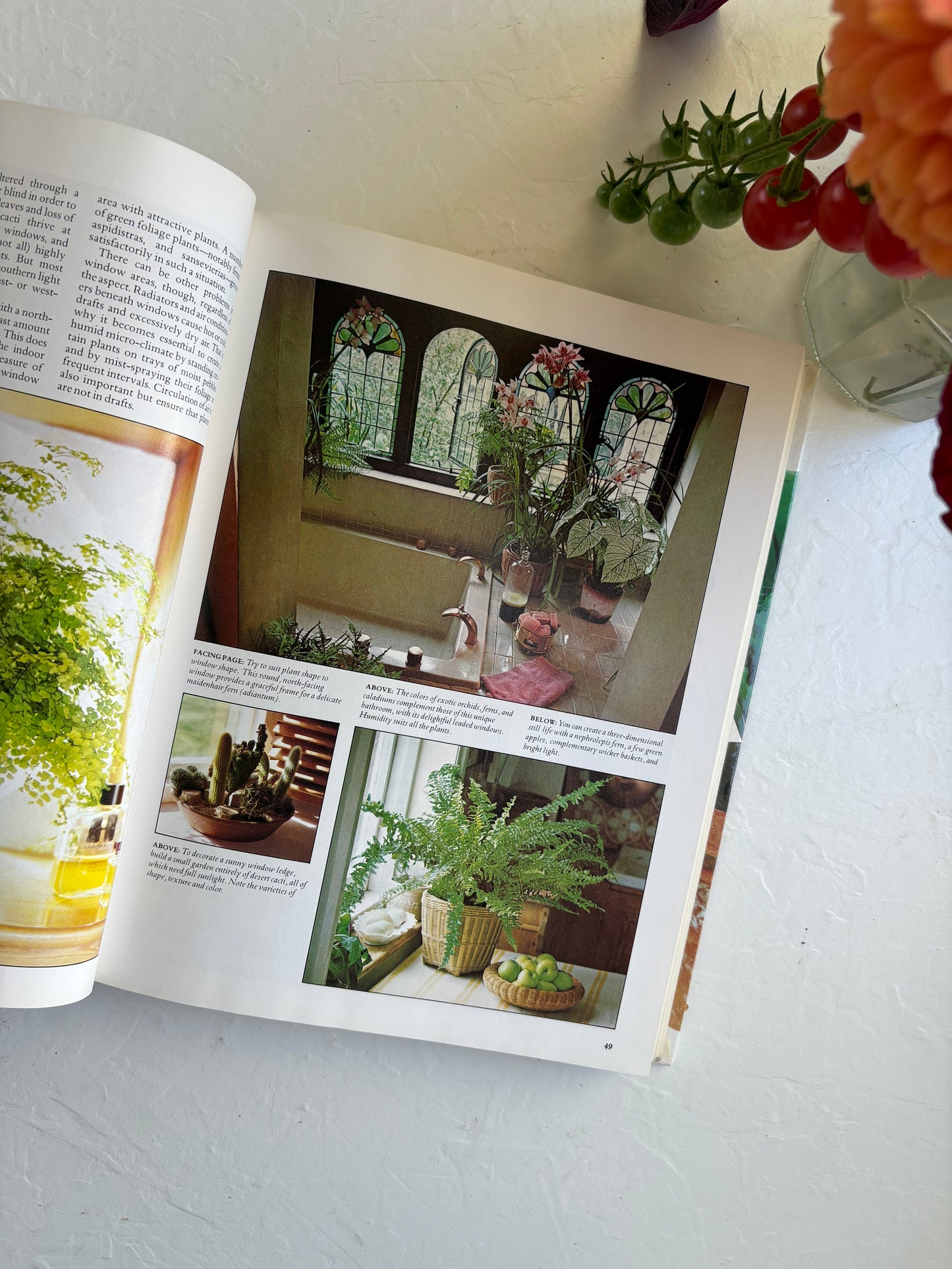 Success with Houseplants vintage book