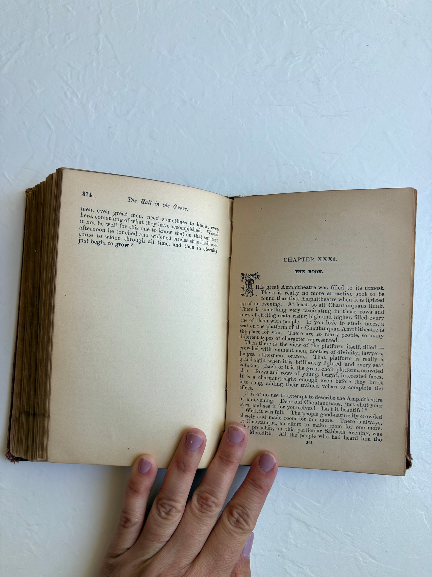 The Hall in the Grove Vintage Book by Pansy