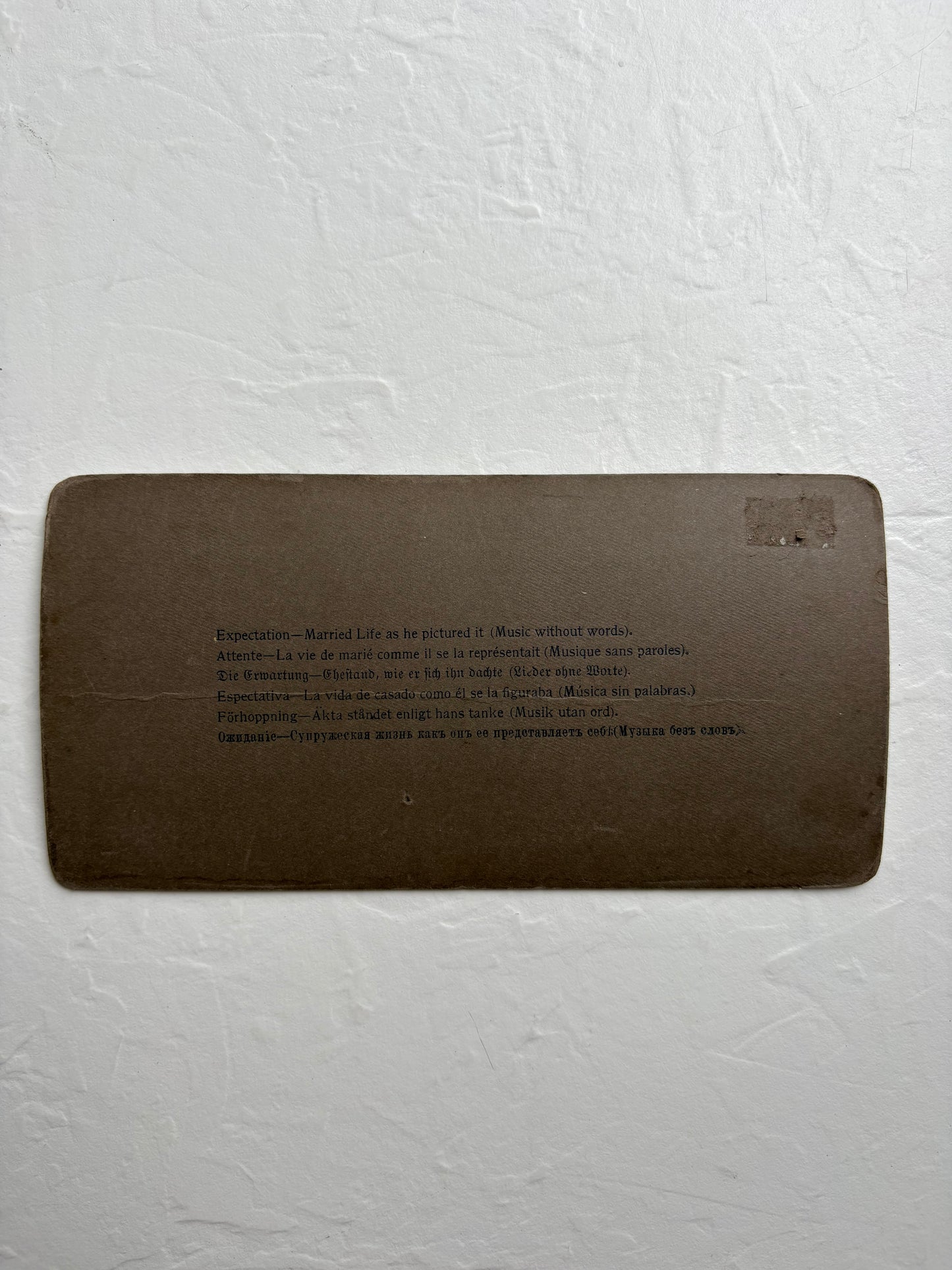 Stereoview Card “Expectation— Married life as he pictured it”