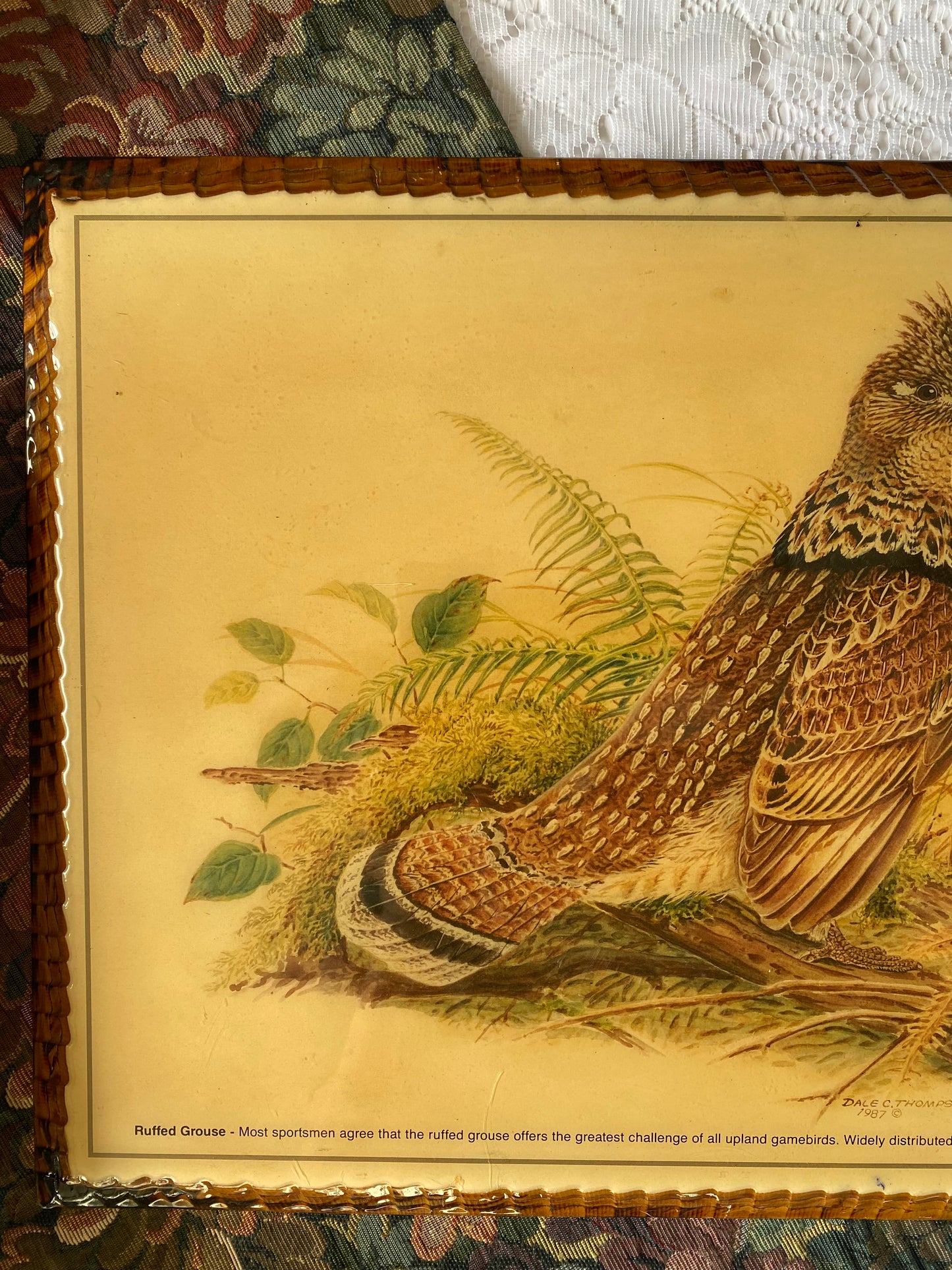 Vintage Ruffed Grouse Art on lacquered wood