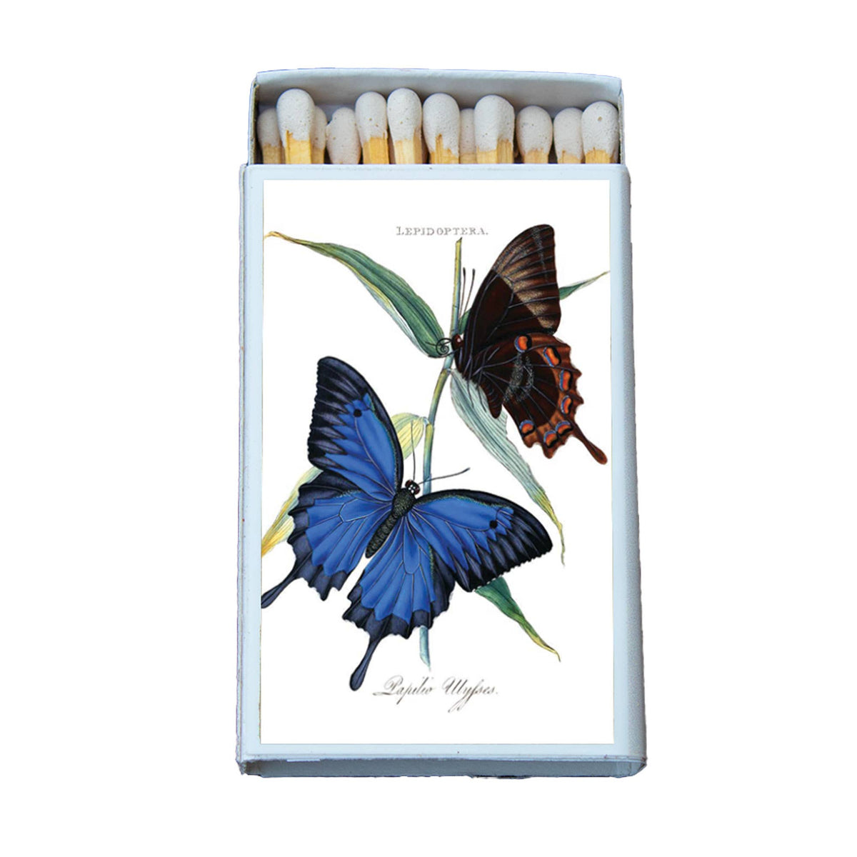 Matches • Butterfly Blue Swallowtail