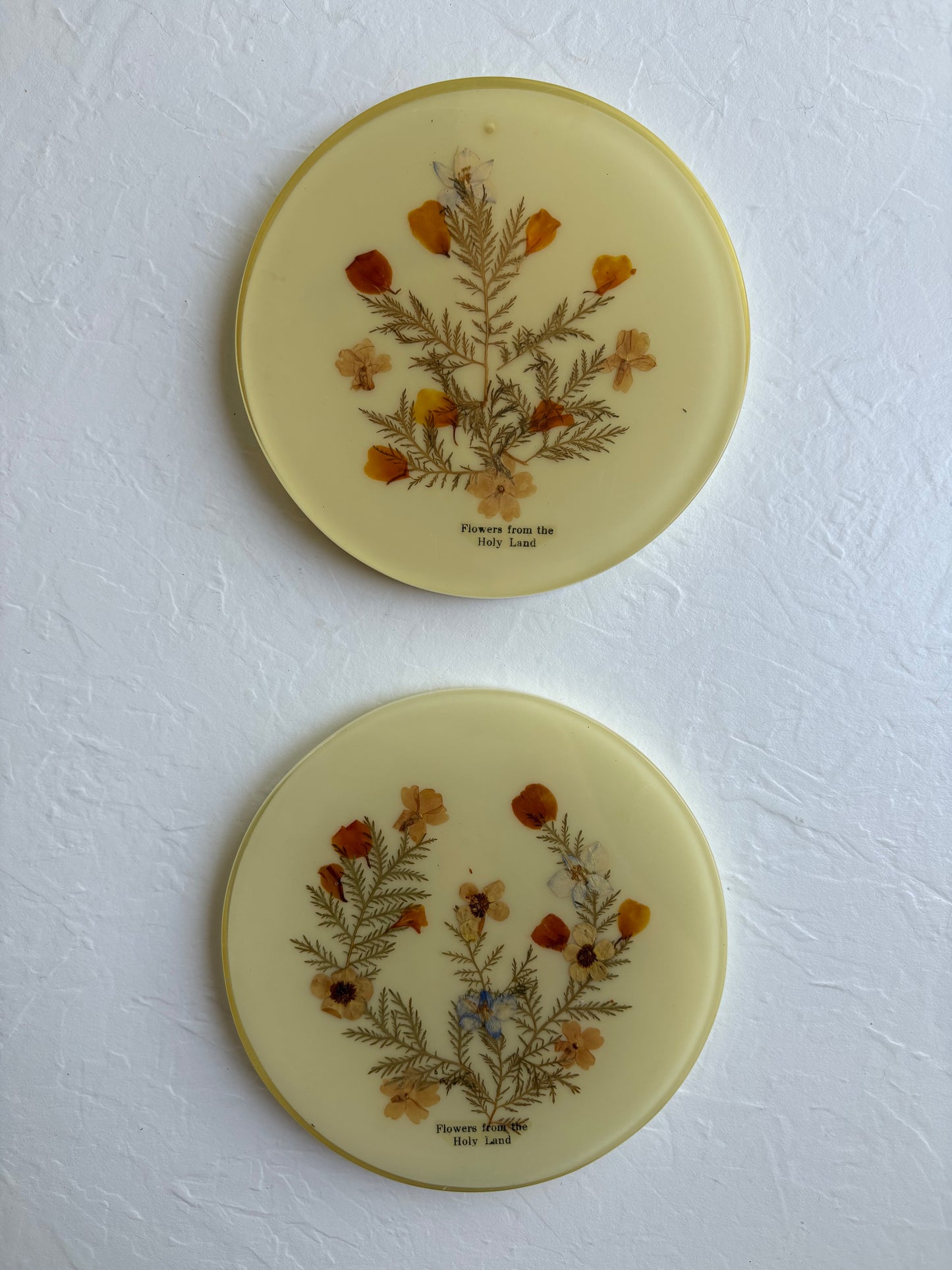 Dried Floral Trivets/ Wall Hangings