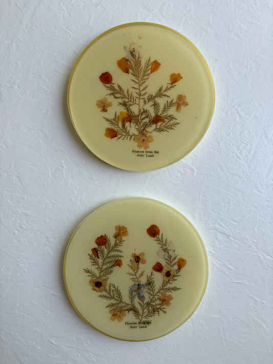 Dried Floral Trivets/ Wall Hangings
