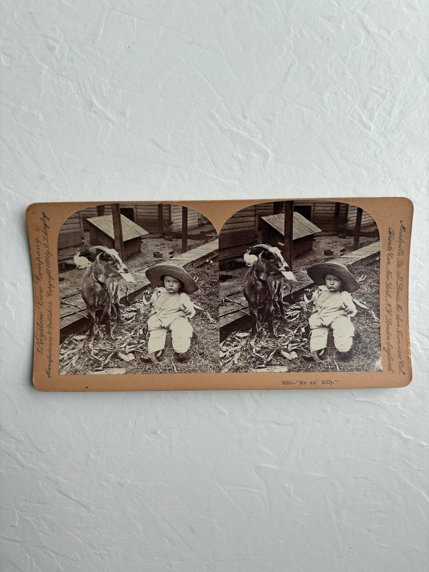 Stereoview Card “Me an’ Billy”