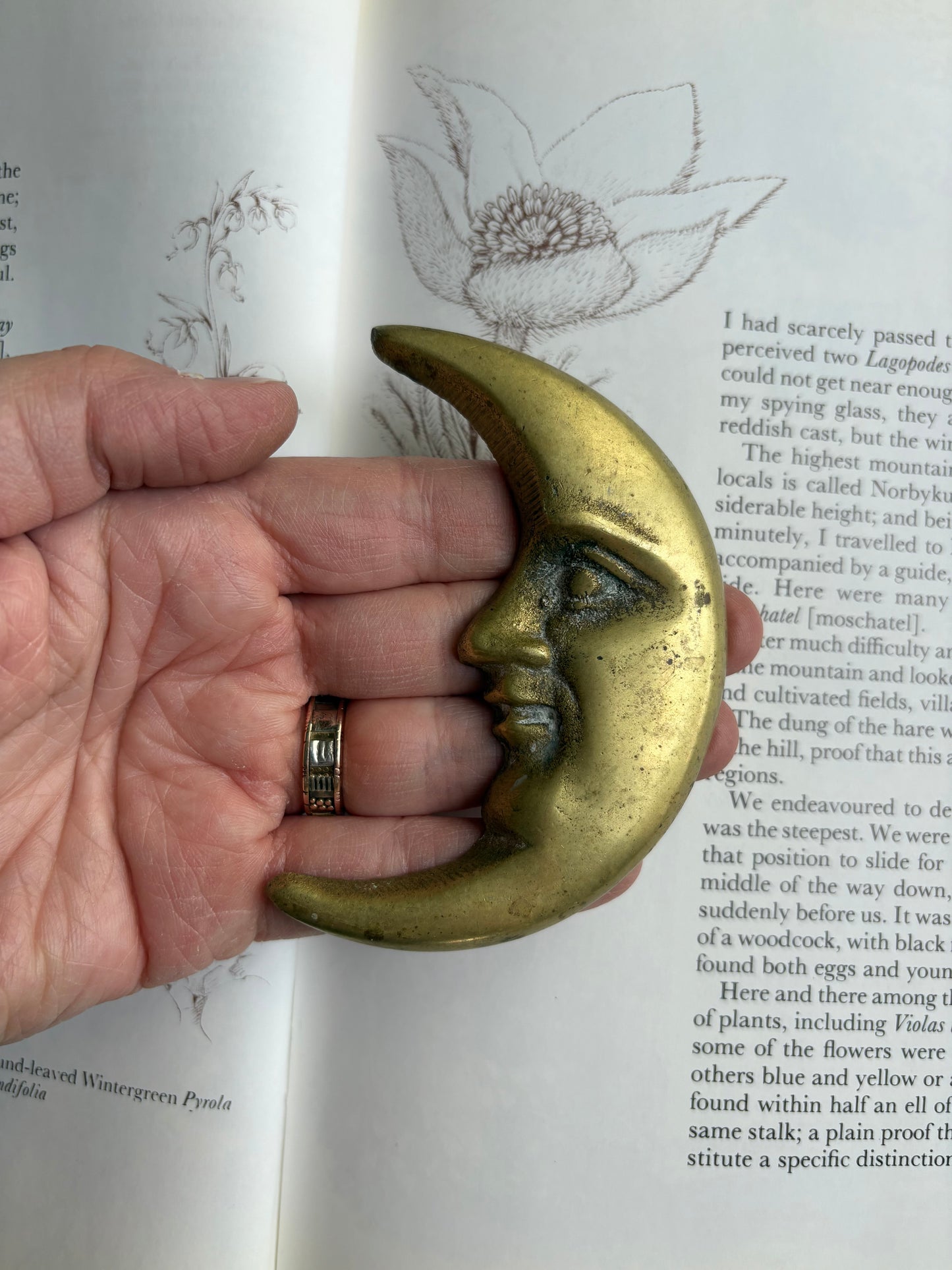 Brass Moon Figure