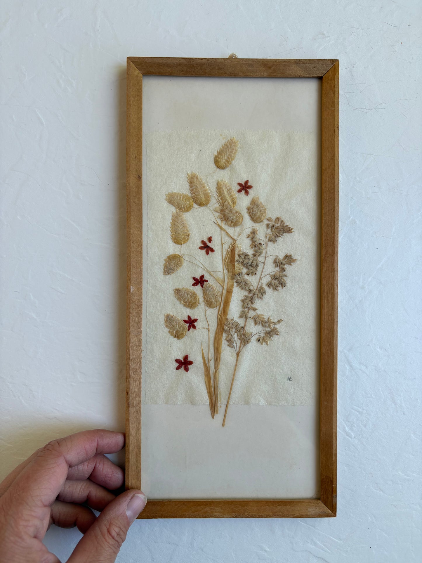 Dried Floral Art
