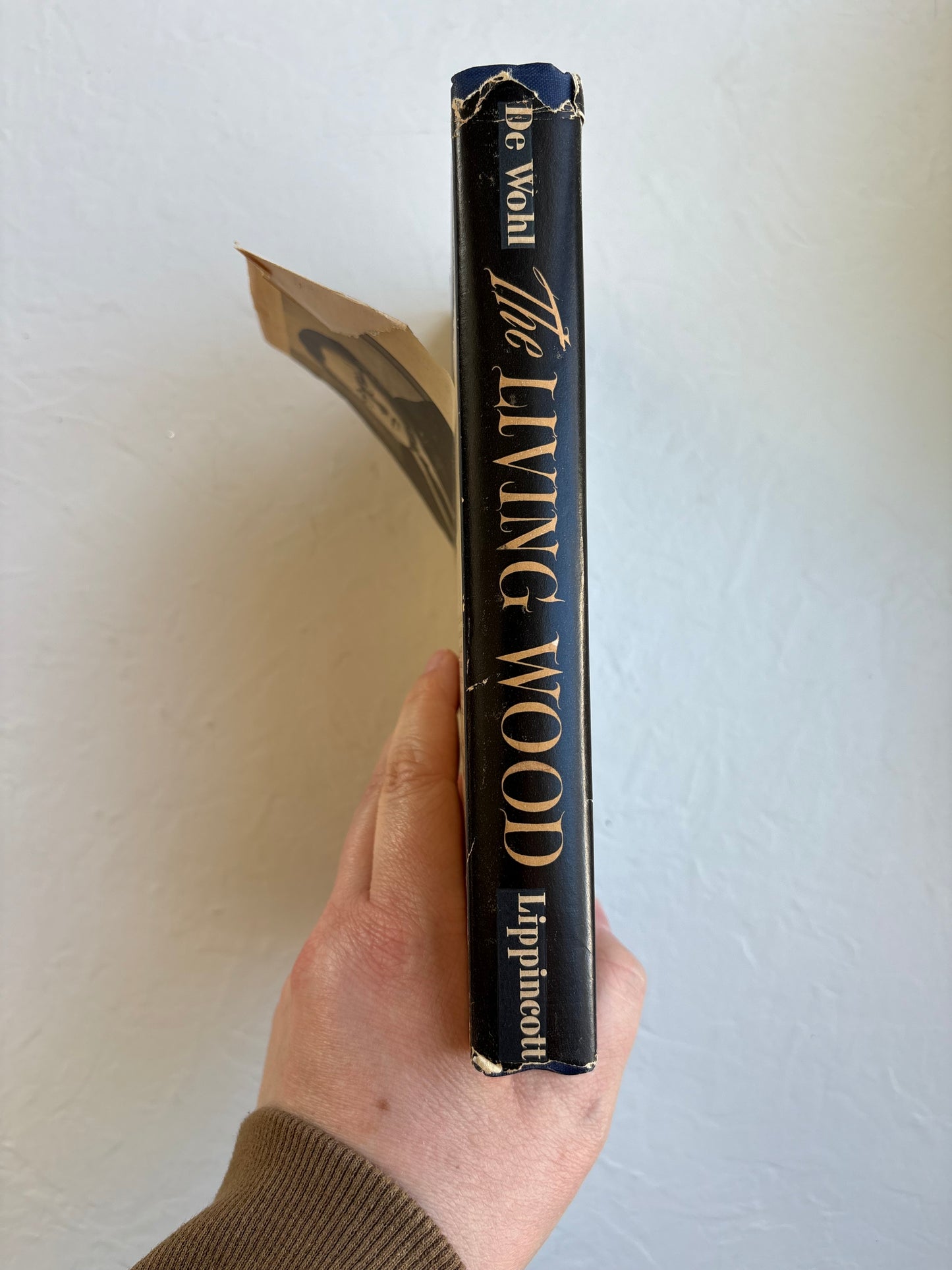 The Living Wood by Louis de Wohl