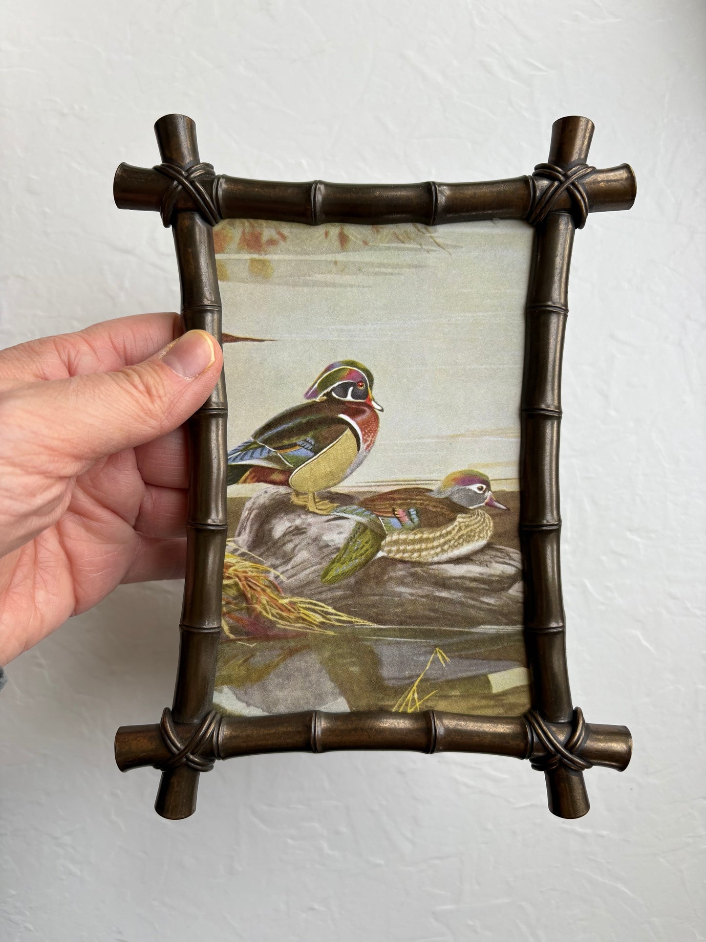 Framed Wood Duck Art