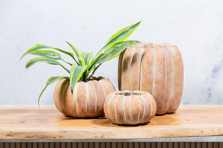 Cement Pumpkin Planter: Small Low