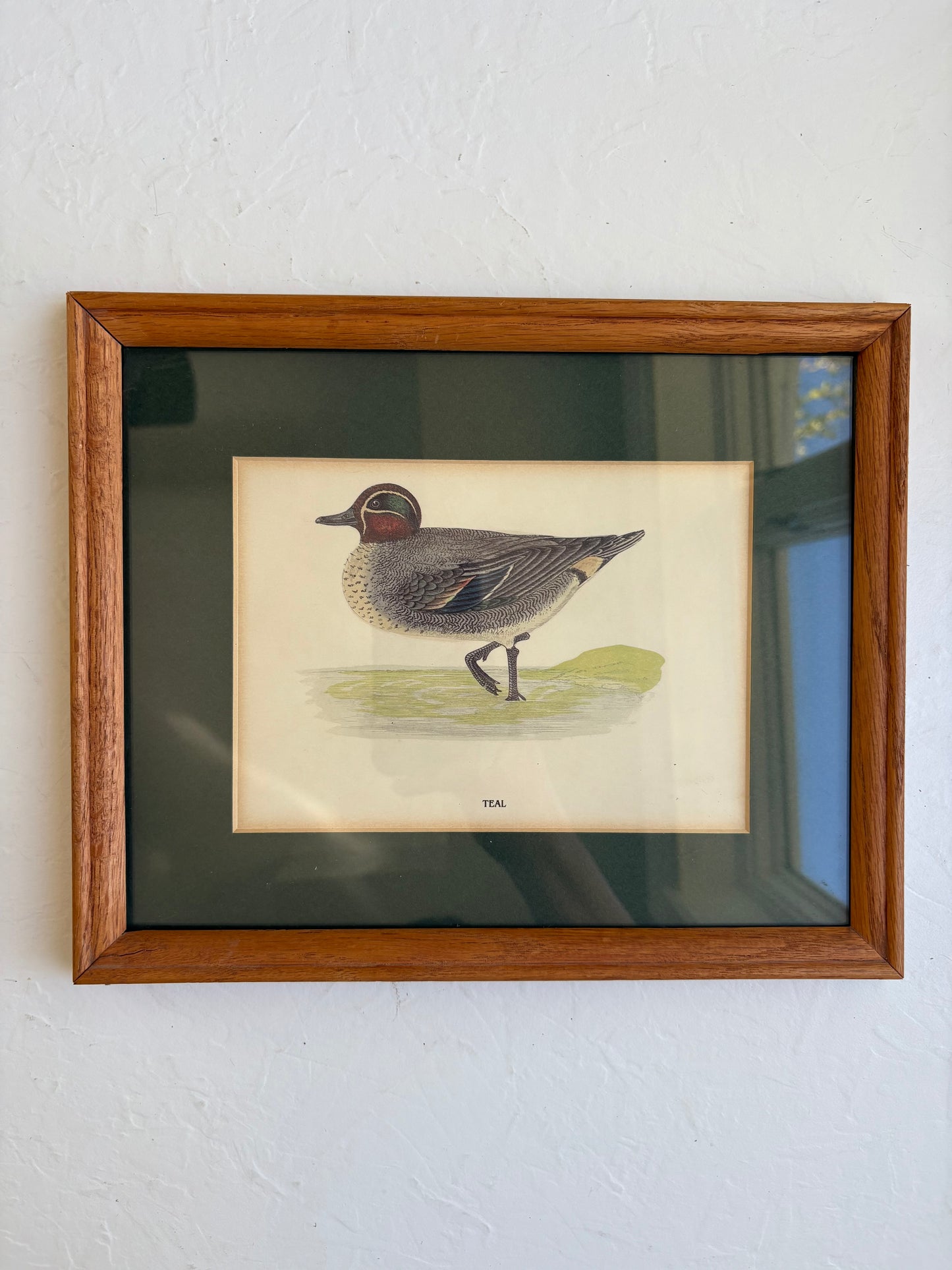 Teal Duck Print