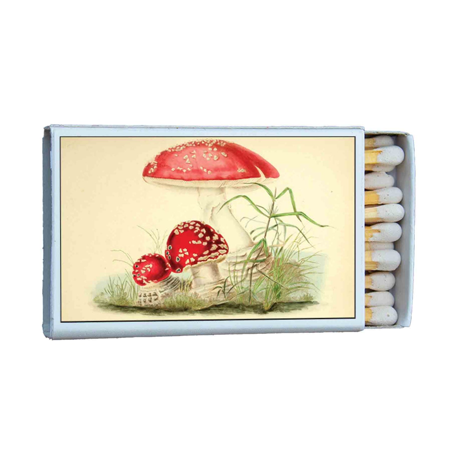 Matches • Mushroom Toadstool