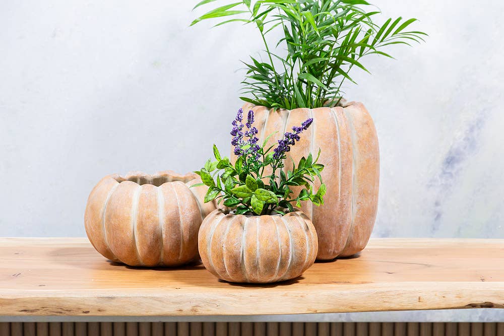 Cement Pumpkin Planter: Small Low