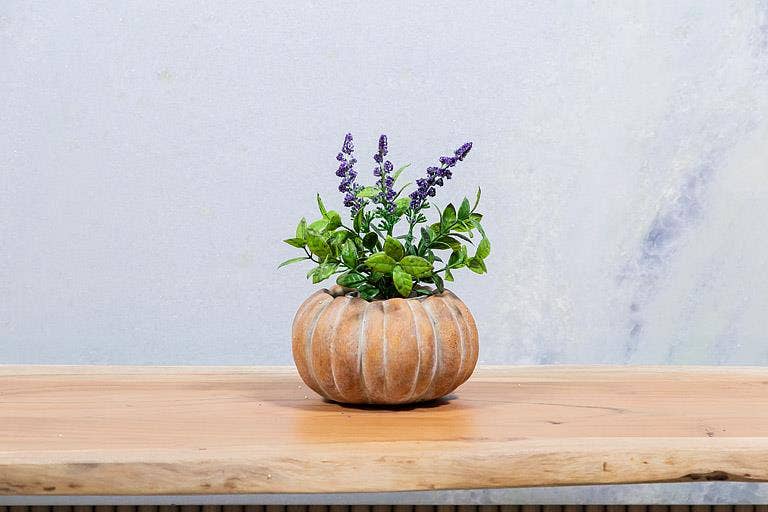 Cement Pumpkin Planter: Small Low