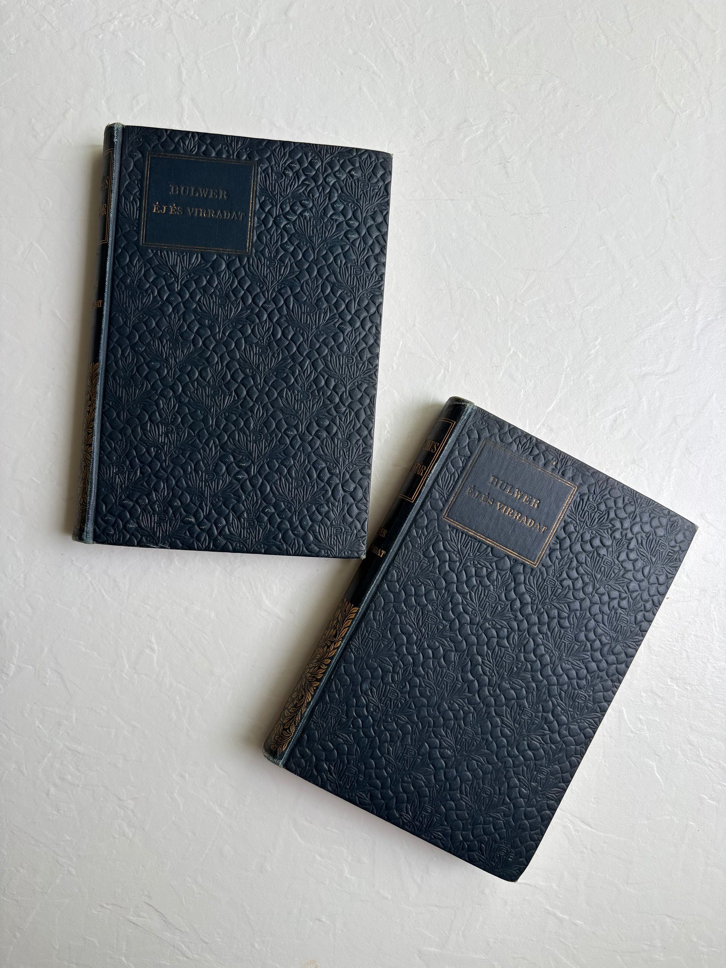 Pair of Hungarian Books