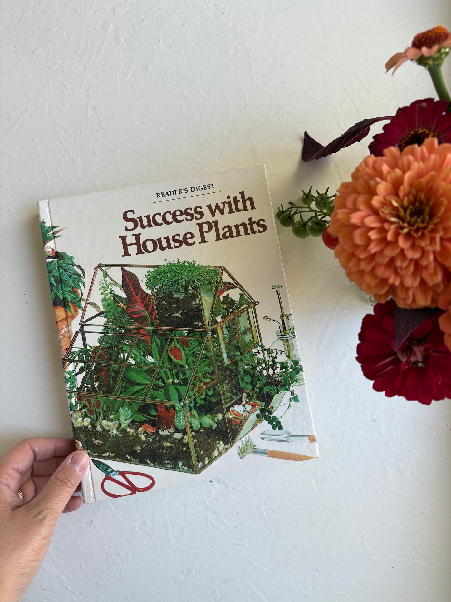 Success with Houseplants vintage book