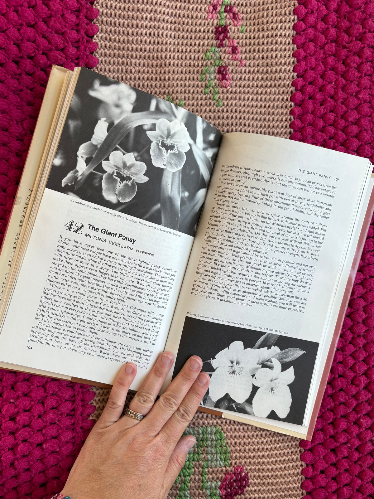 Fun with Growing Odd and Curious House Plants Vintage book
