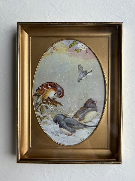 Winter Birds Color Plate in Brass Frame