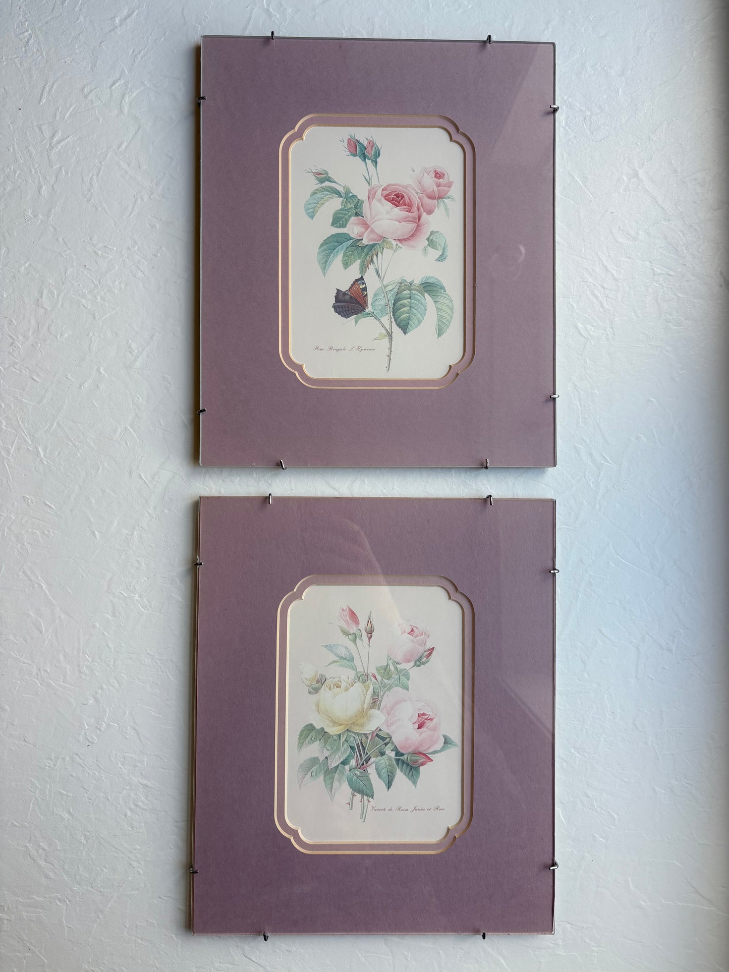 Rose Prints in Floating Frame