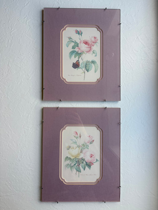 Rose Prints in Floating Frame