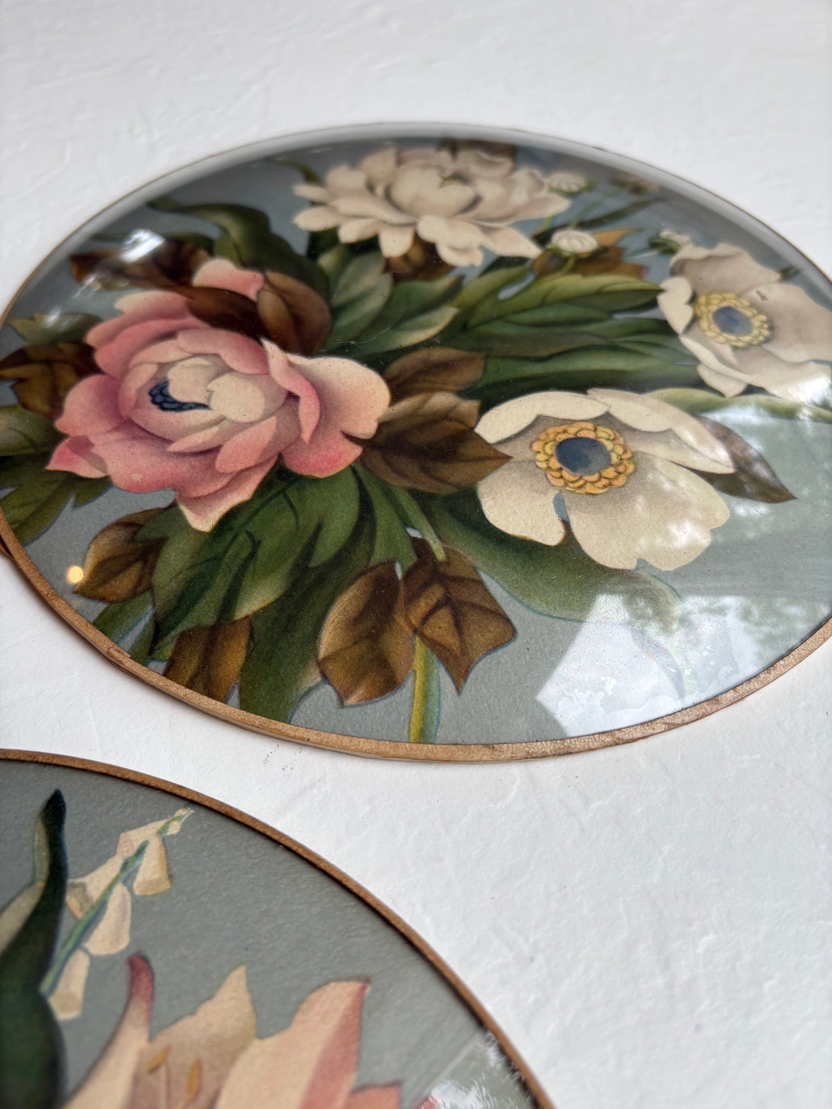 Magnolia Art in Convex Frames
