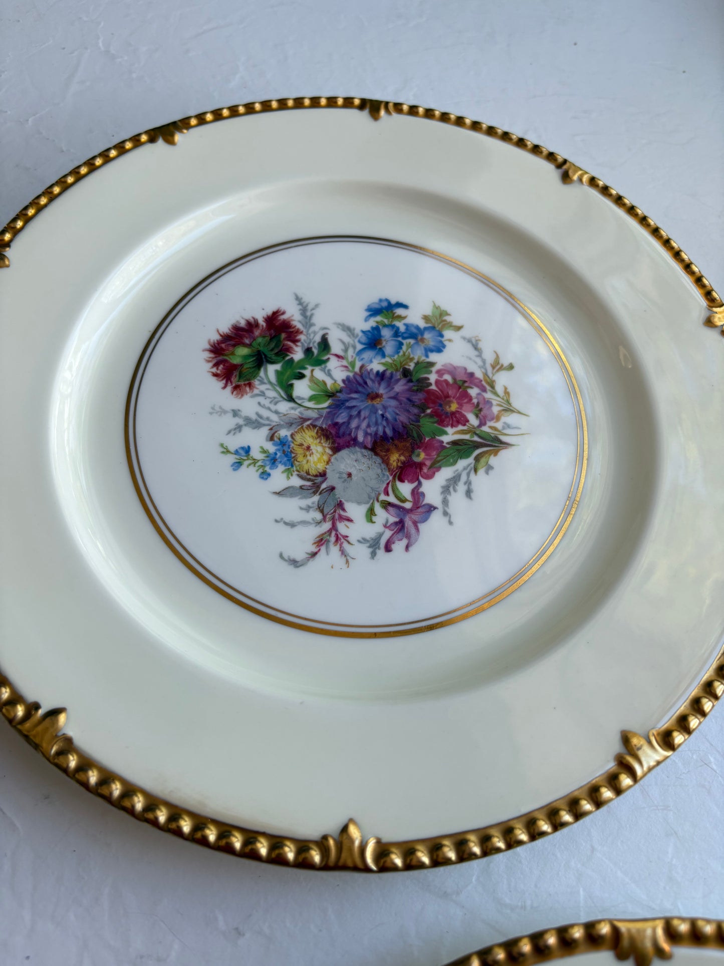 Vintage Paragon Park Lane dinner plate pair