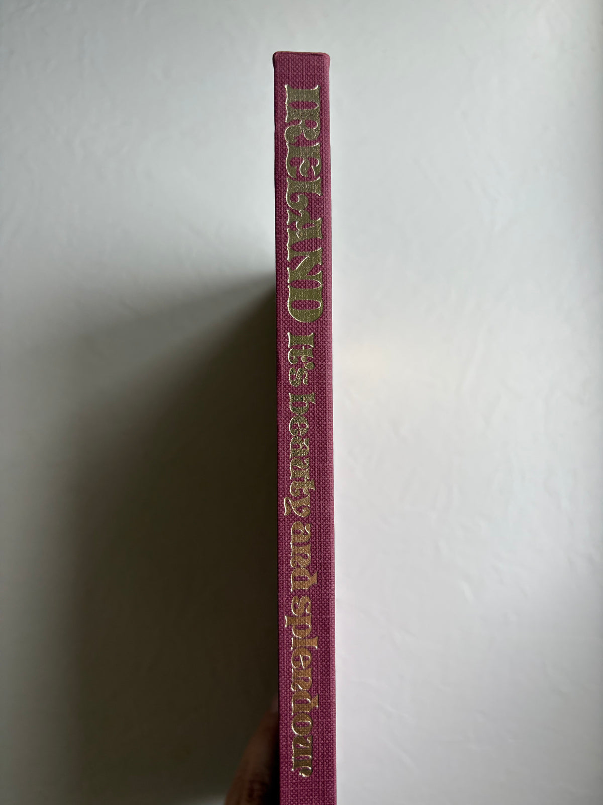 Ireland: Its Beauty and Splendor Vintage Book