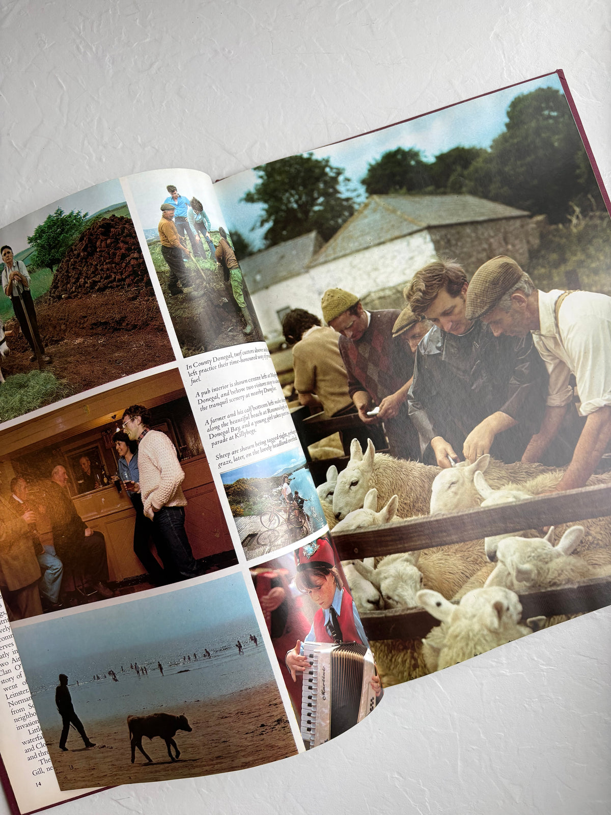 Ireland: Its Beauty and Splendor Vintage Book