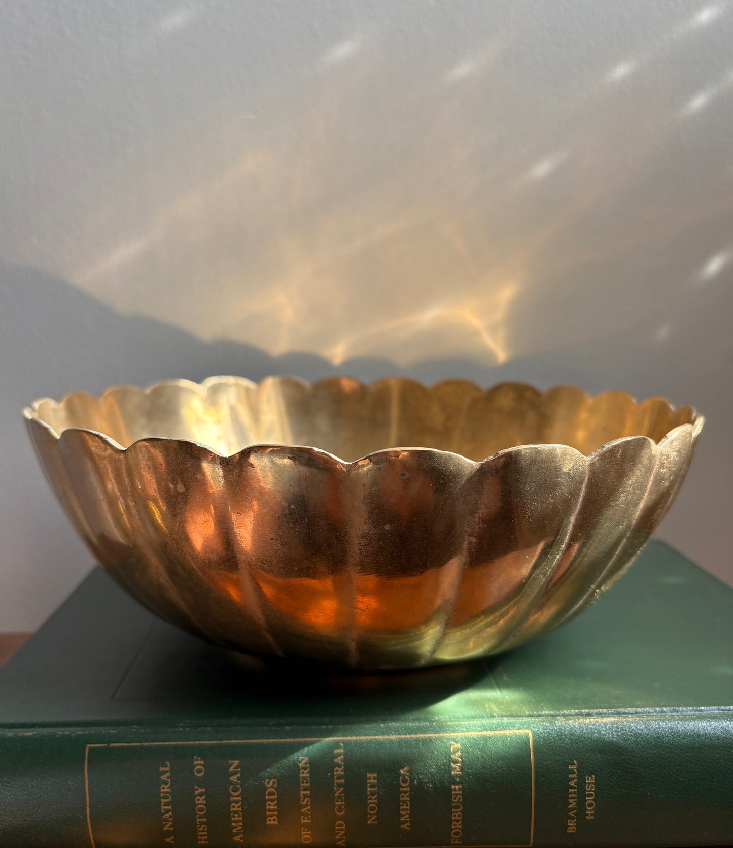 Scalloped Brass Bowl
