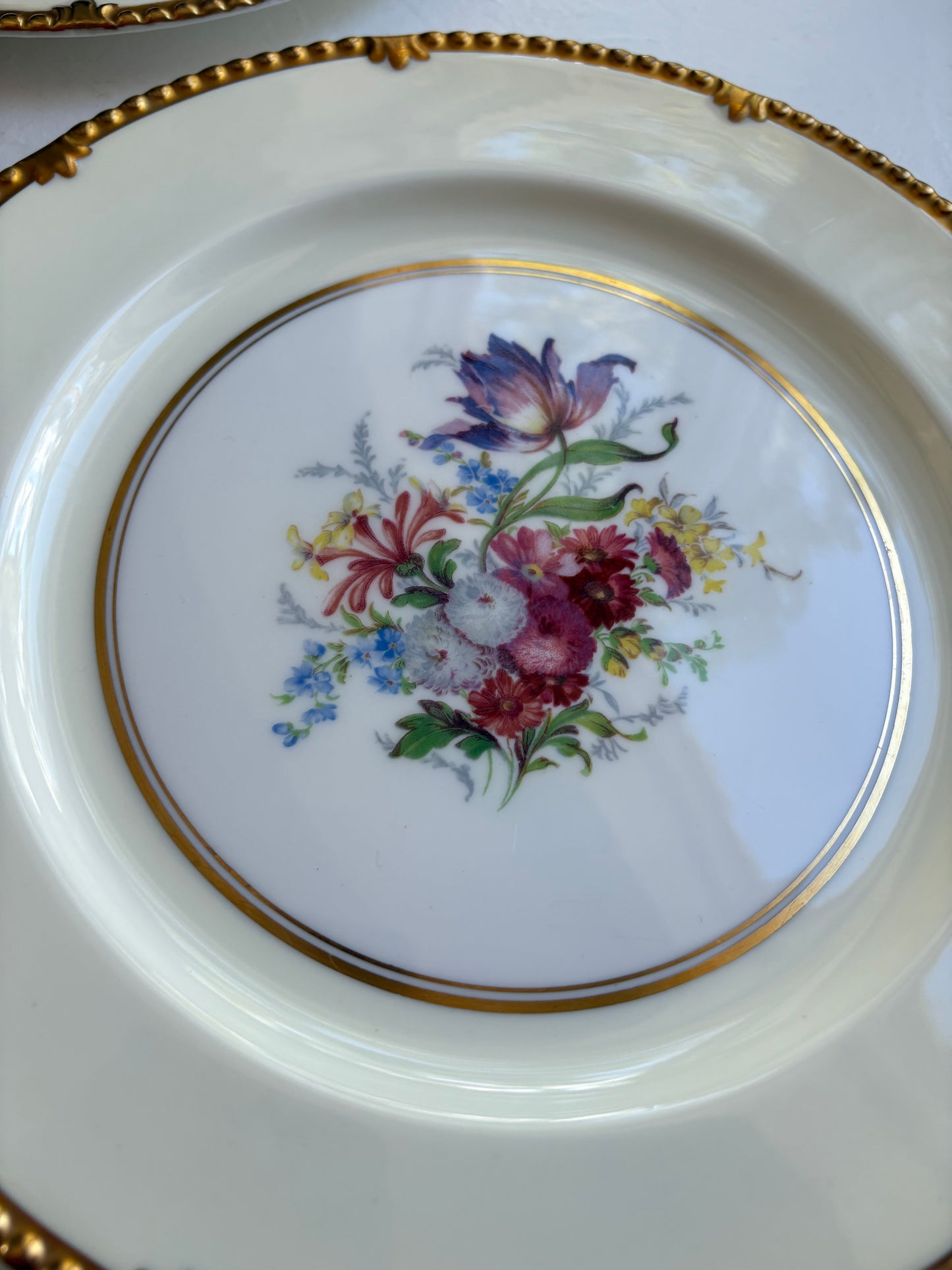 Vintage Paragon Park Lane dinner plate pair