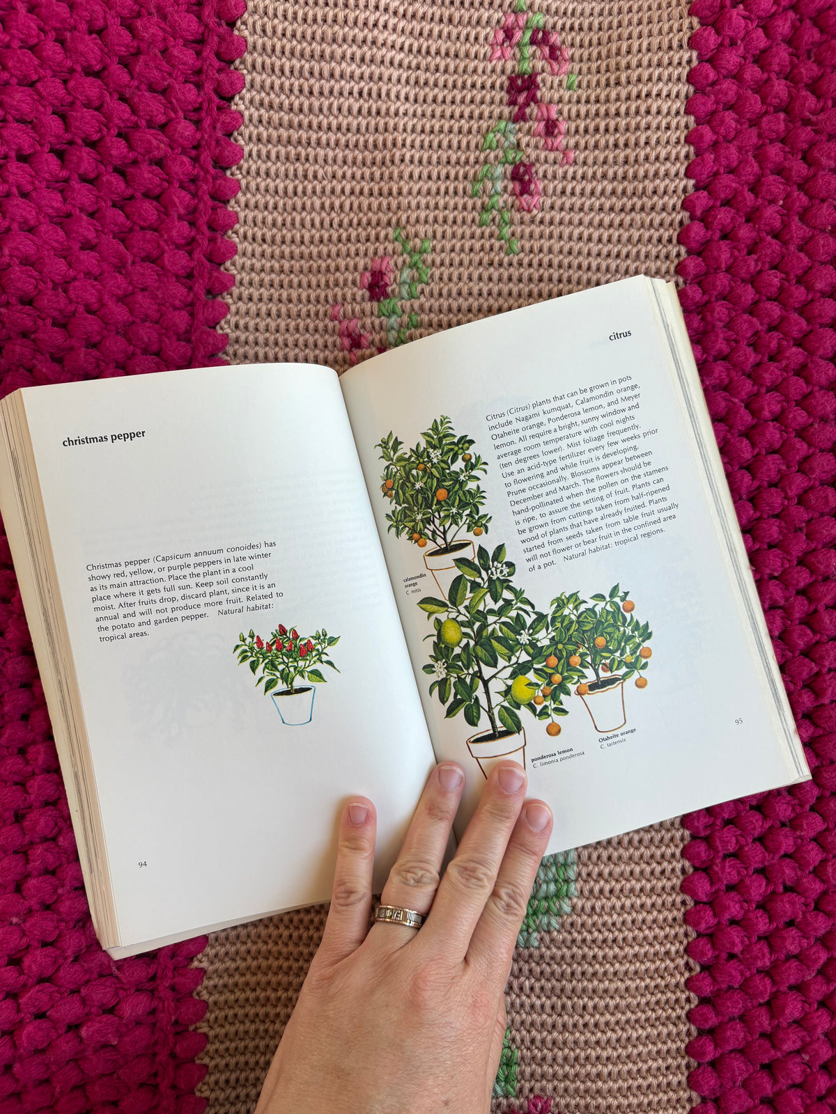The New York Times Book of House Plants