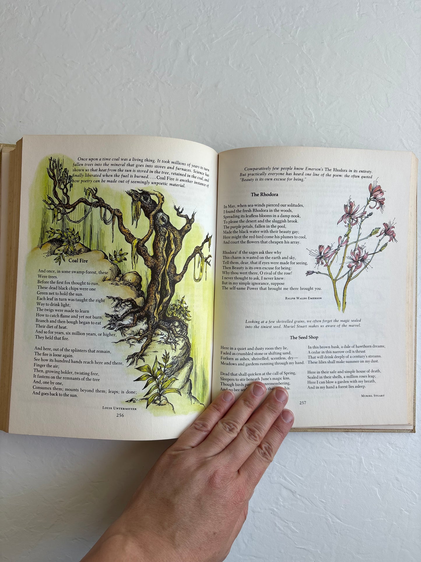 The Golden Treasury of Poetry Vintage Book