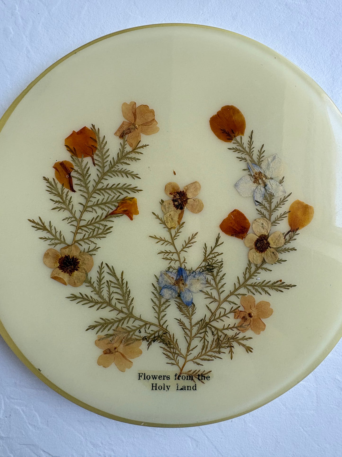 Dried Floral Trivets/ Wall Hangings