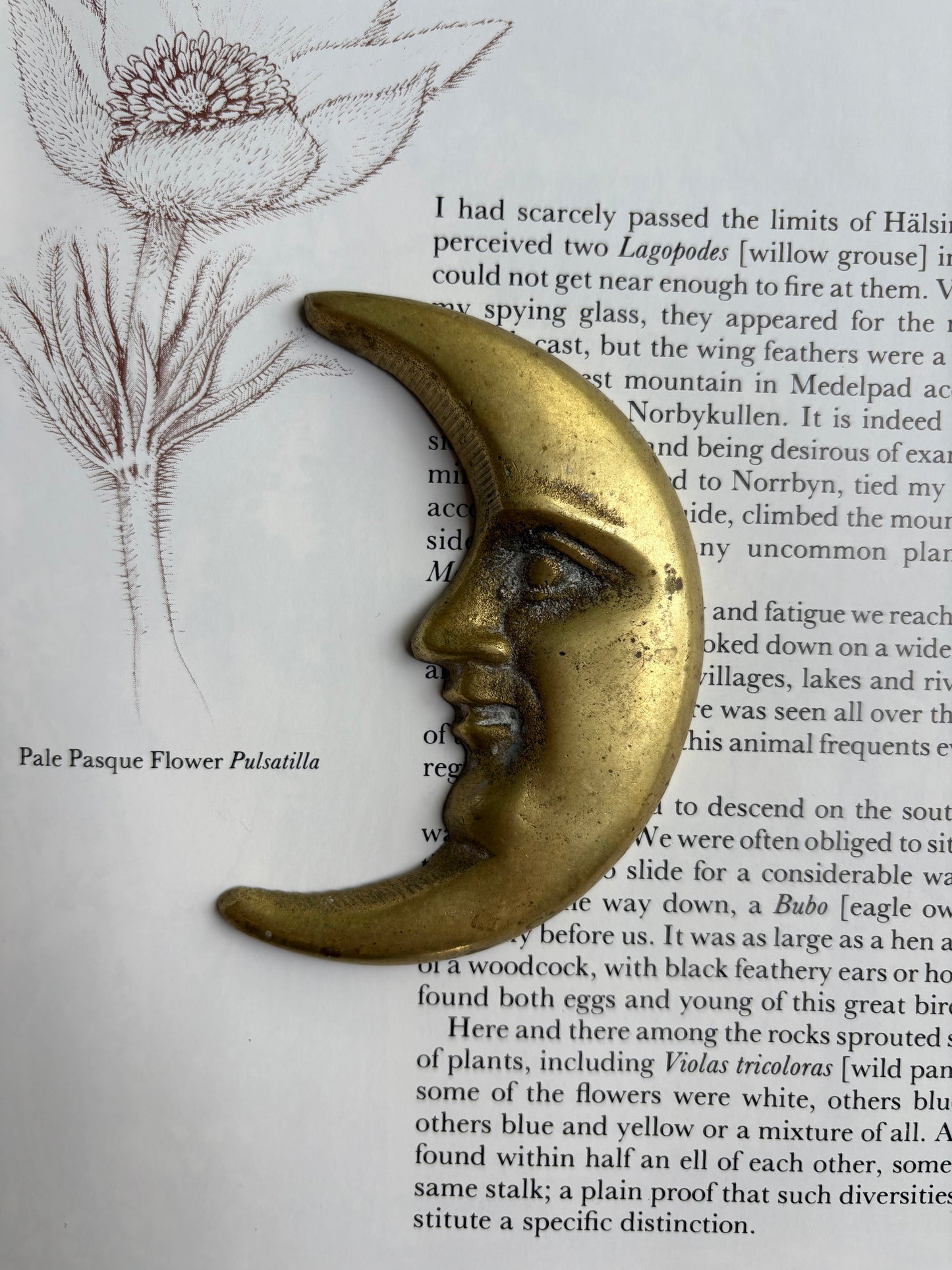 Brass Moon Figure