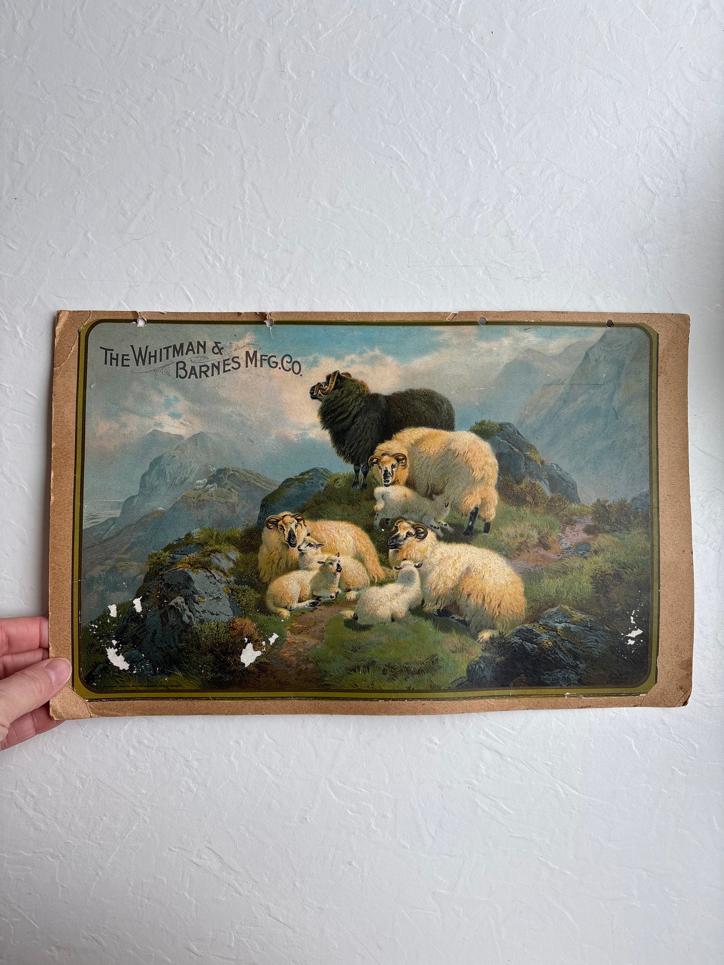 “The Whitman & Barnes MFG Co.” advertisement