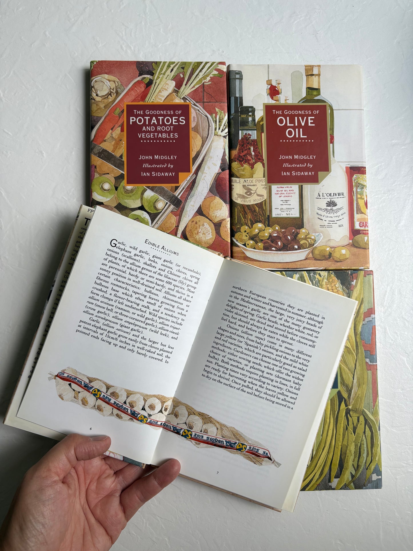 “The Goodness of” Cook Books Set