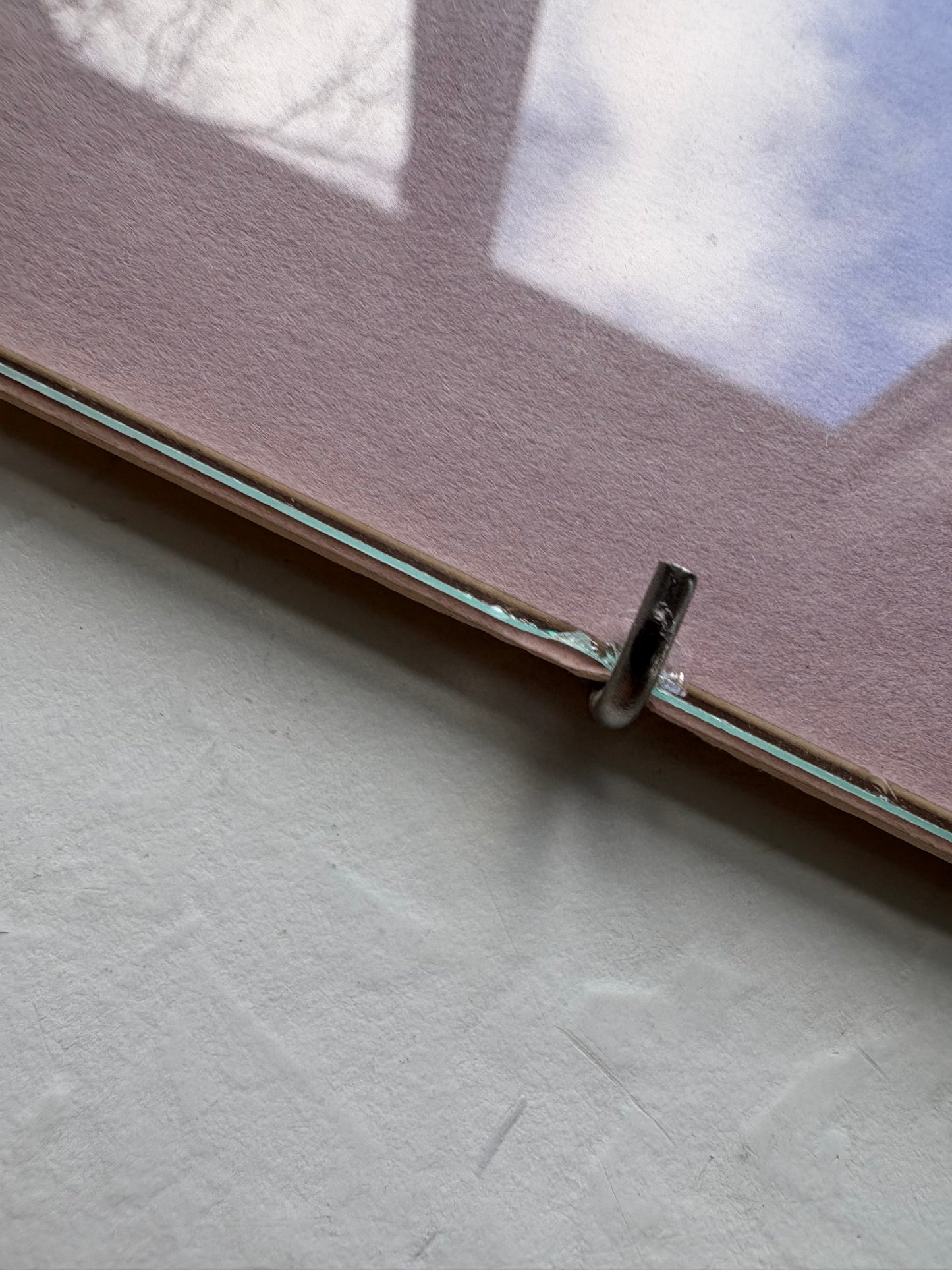 Rose Prints in Floating Frame