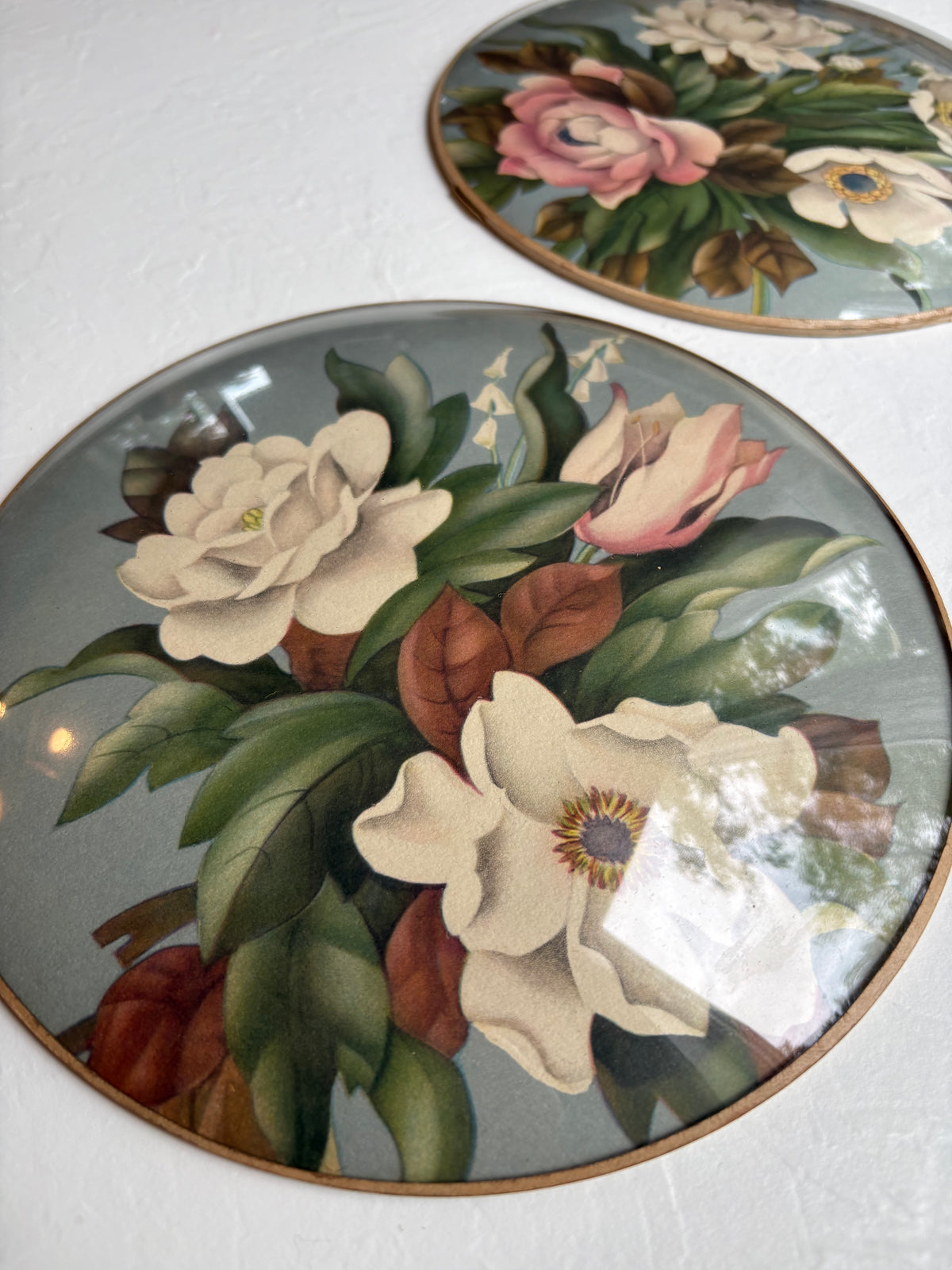 Magnolia Art in Convex Frames
