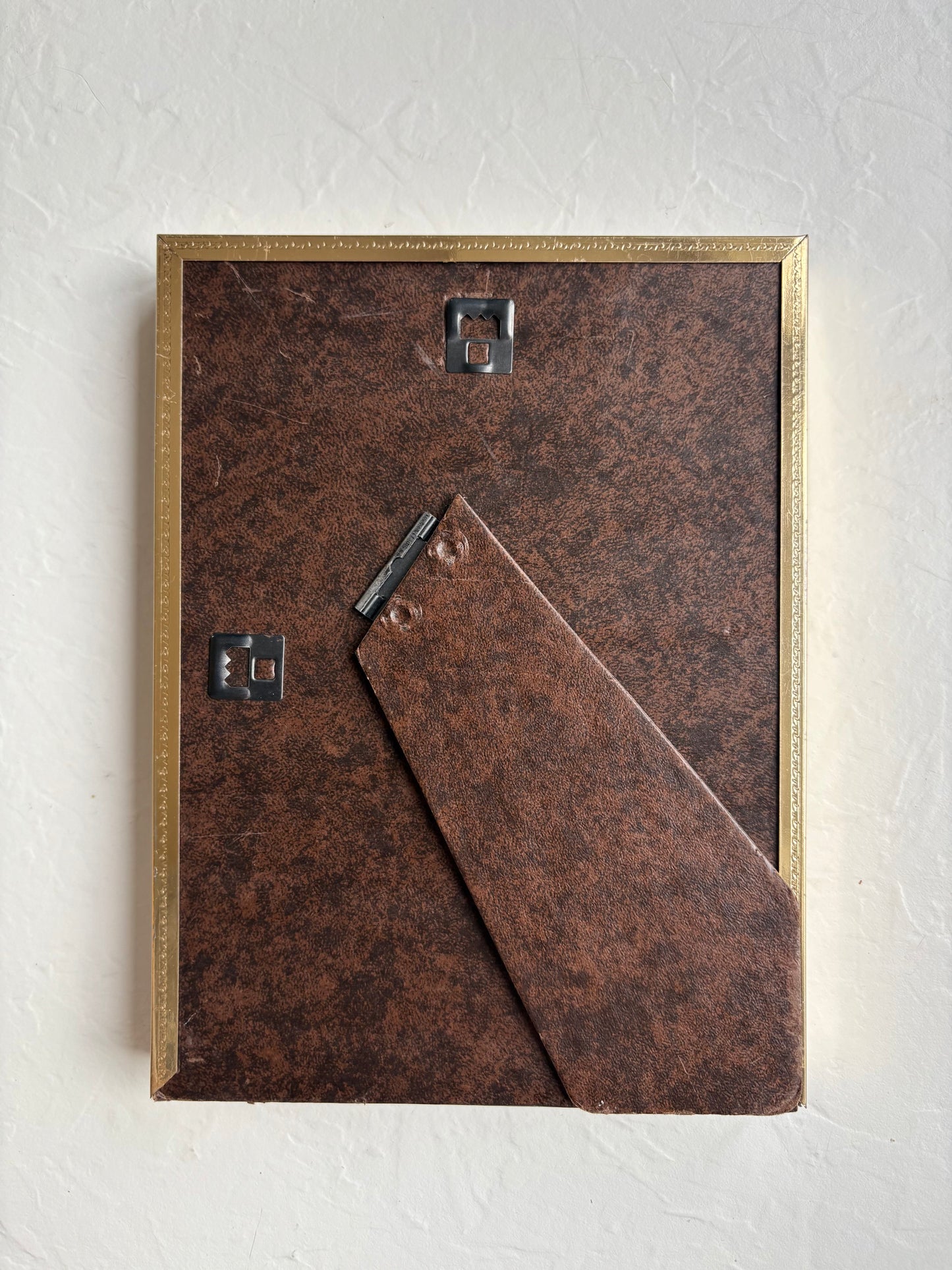 Winter Birds Color Plate in Brass Frame