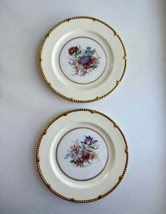 Vintage Paragon Park Lane dinner plate pair