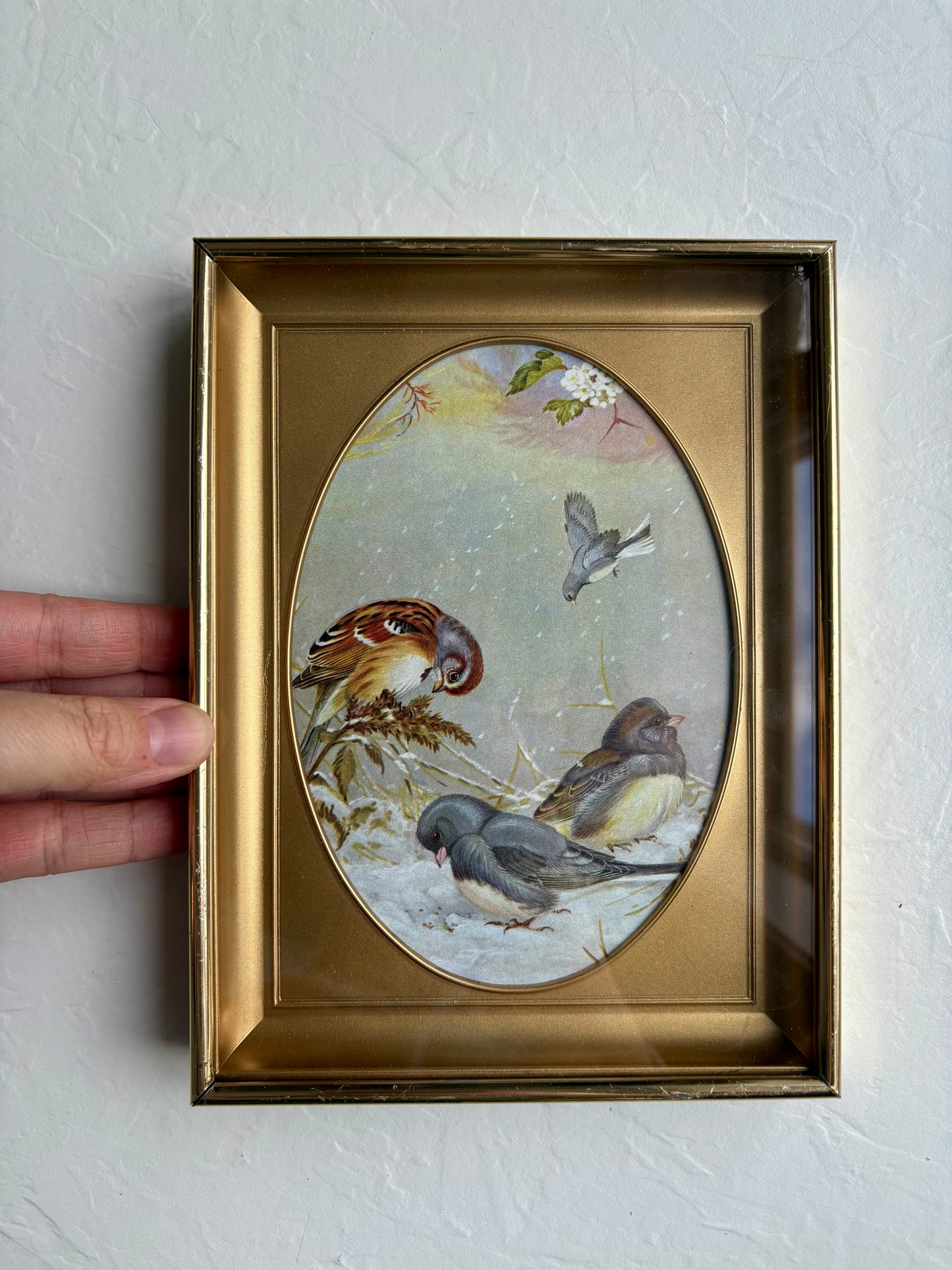 Winter Birds Color Plate in Brass Frame