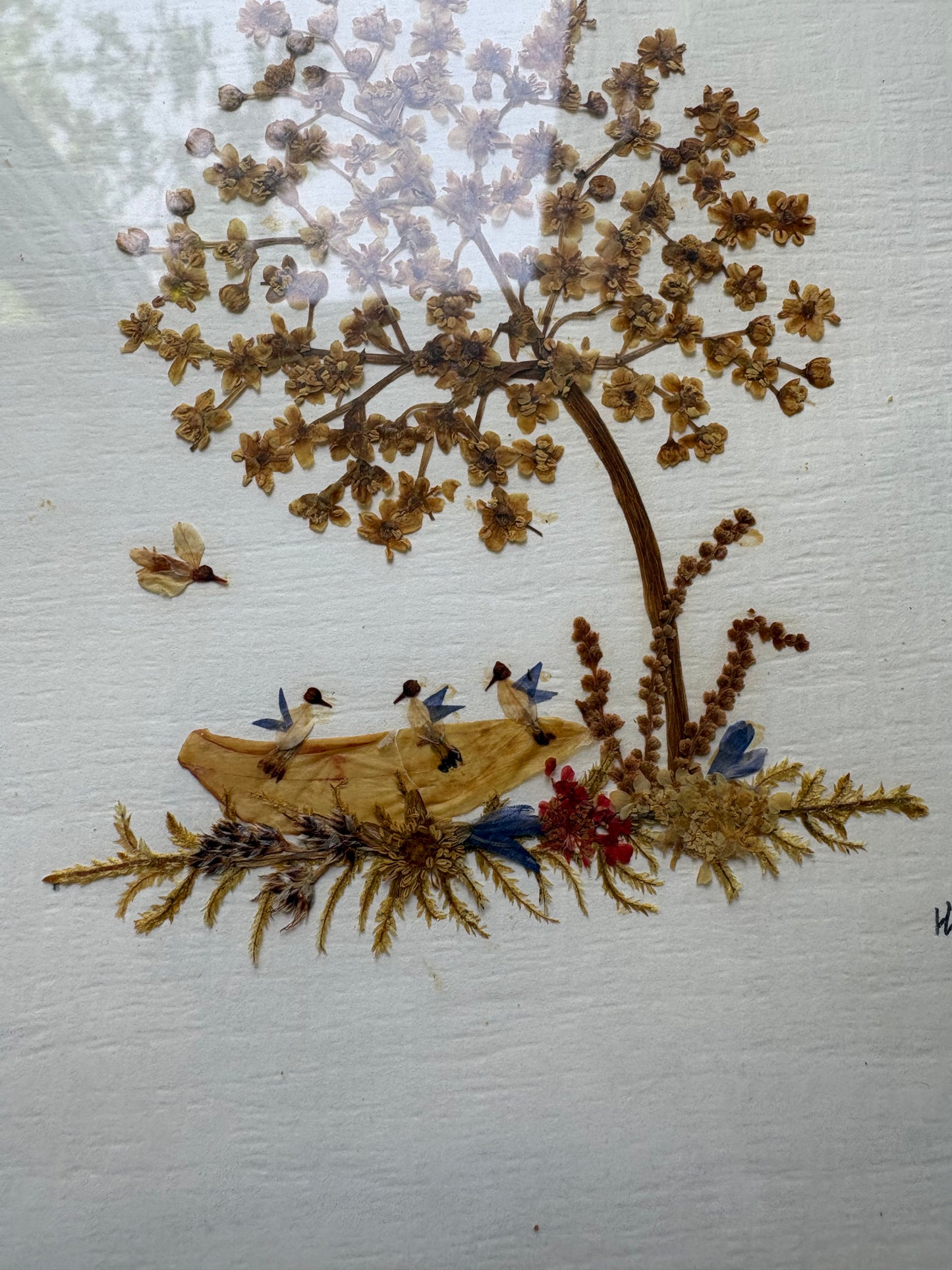 Dried Botanical Art