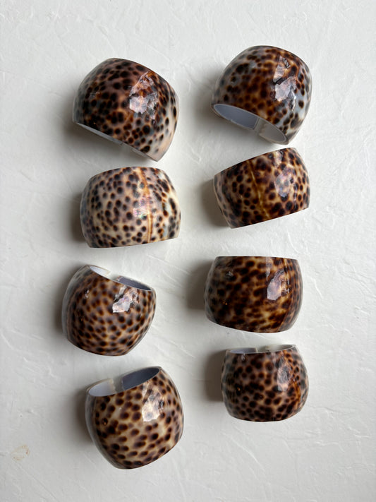 Tiger Cowrie Shell Napkin Rings