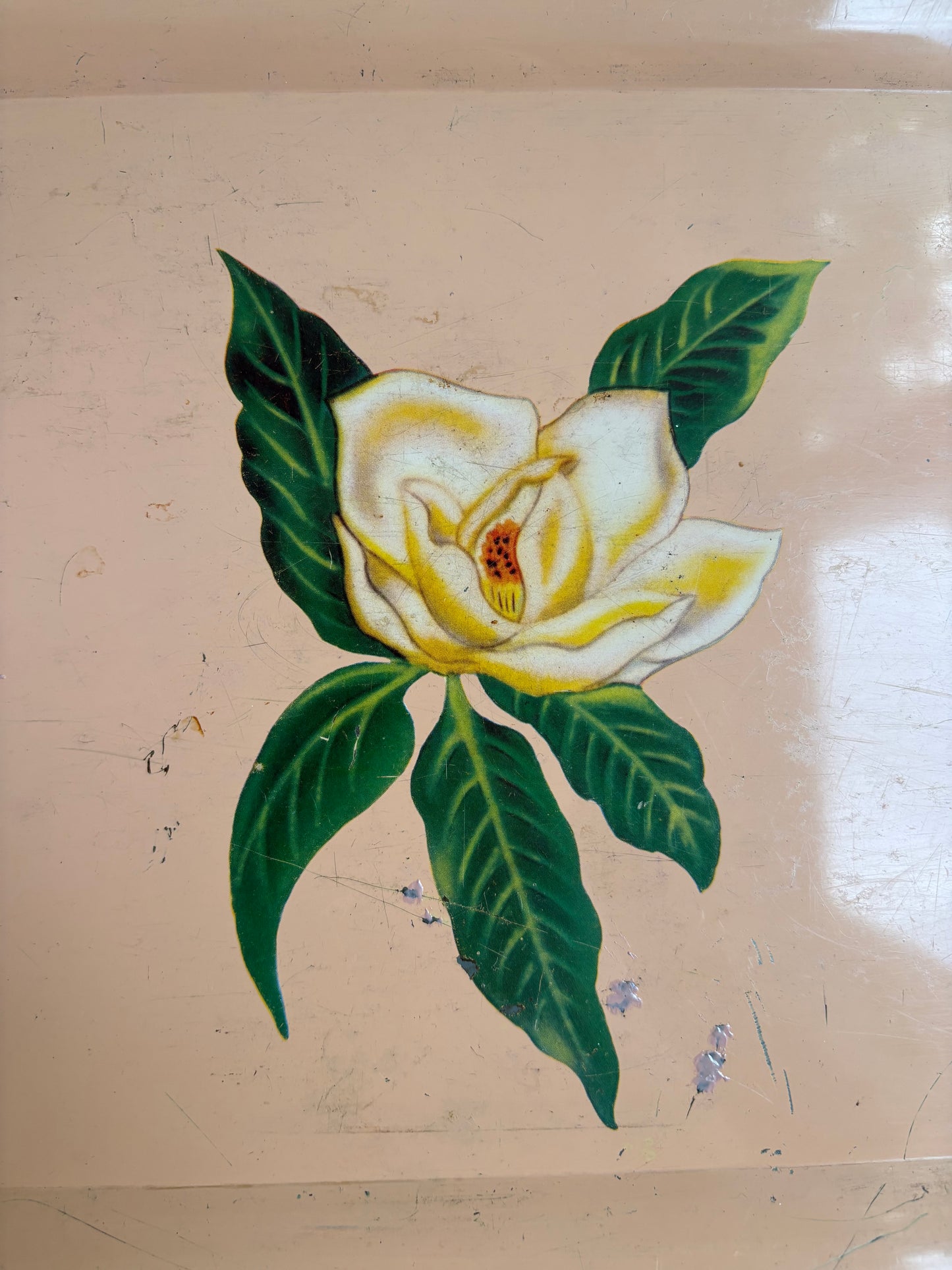 Peach Metal Magnolia Tray