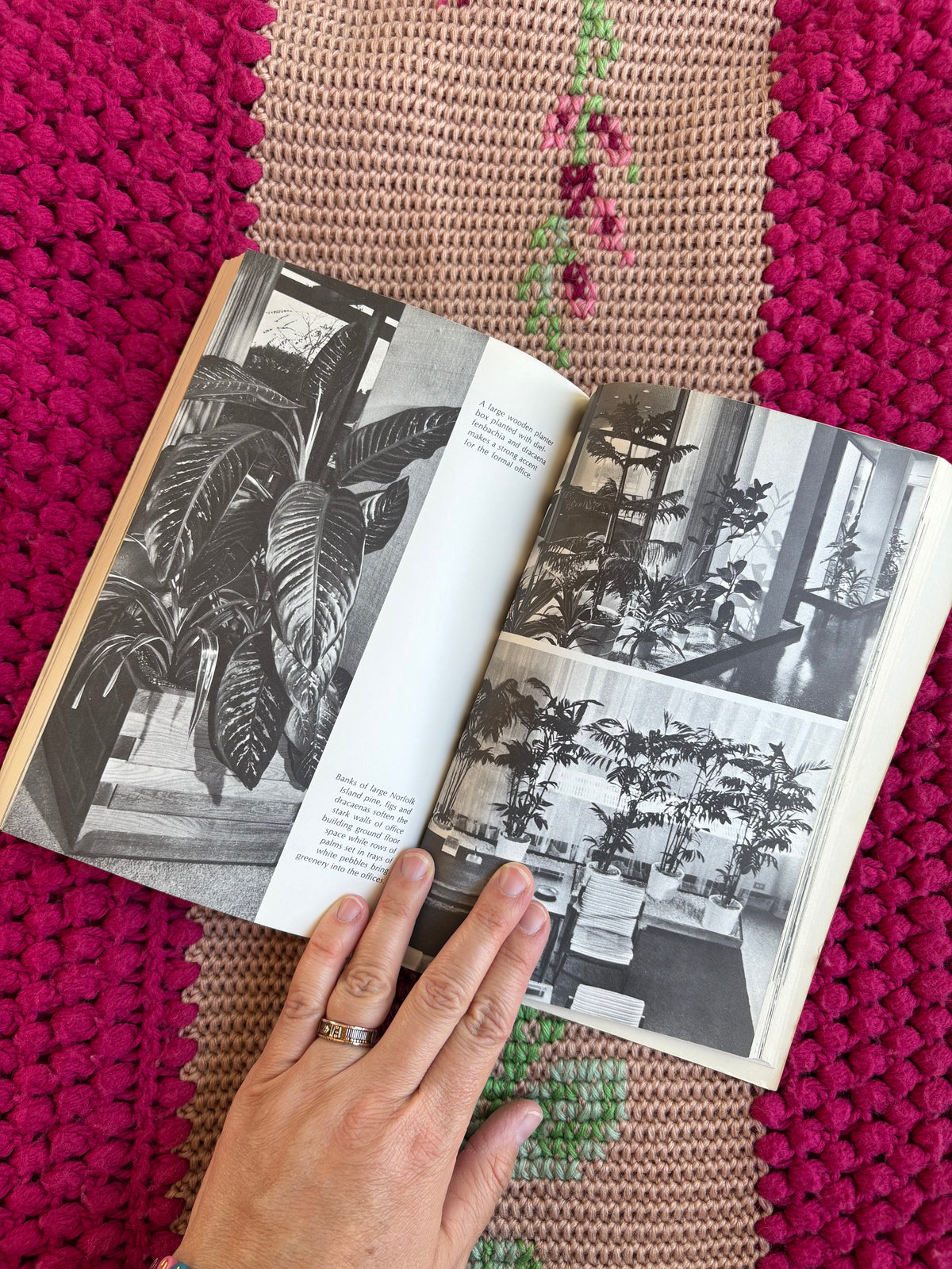 The New York Times Book of House Plants