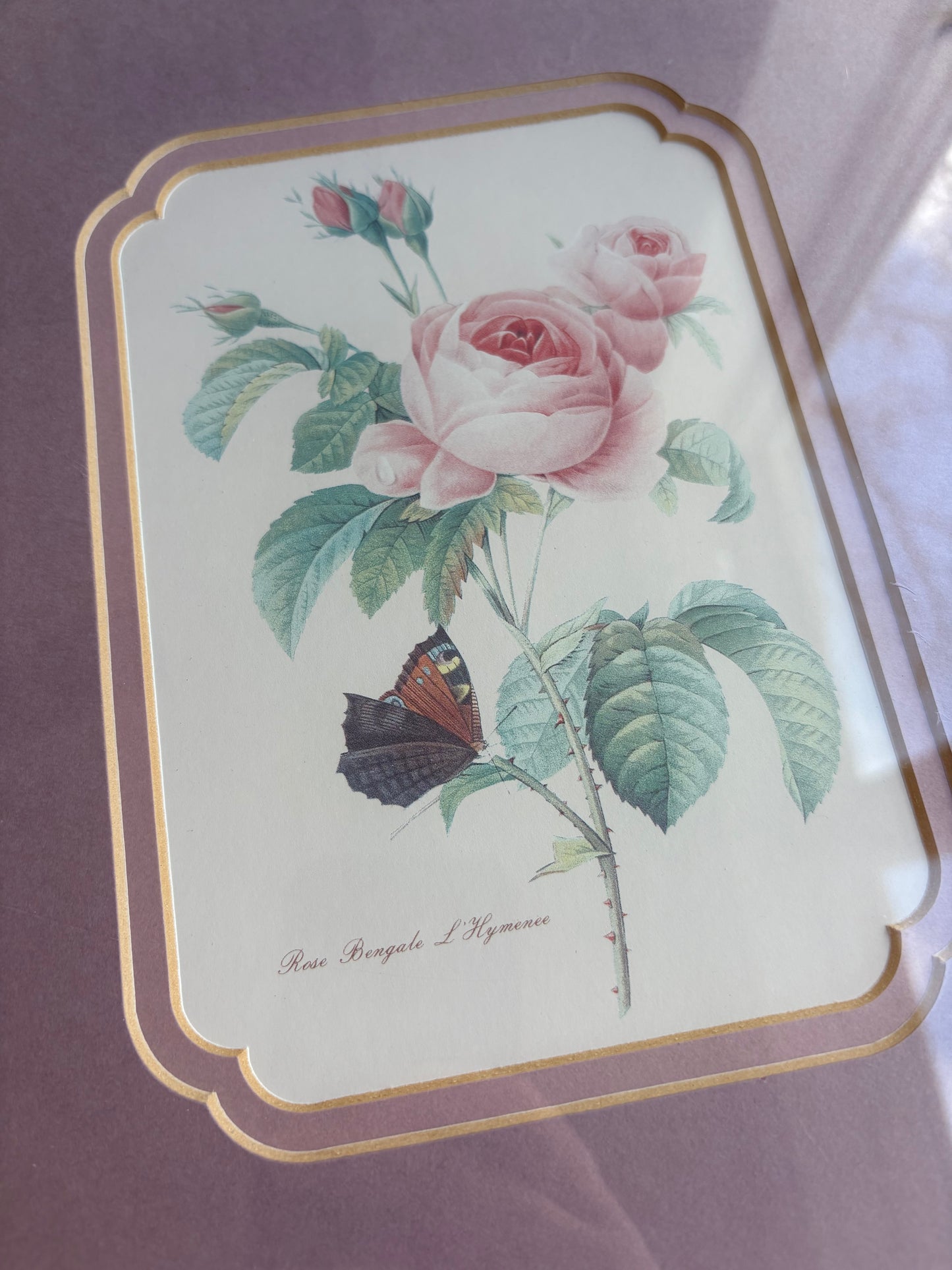 Rose Prints in Floating Frame