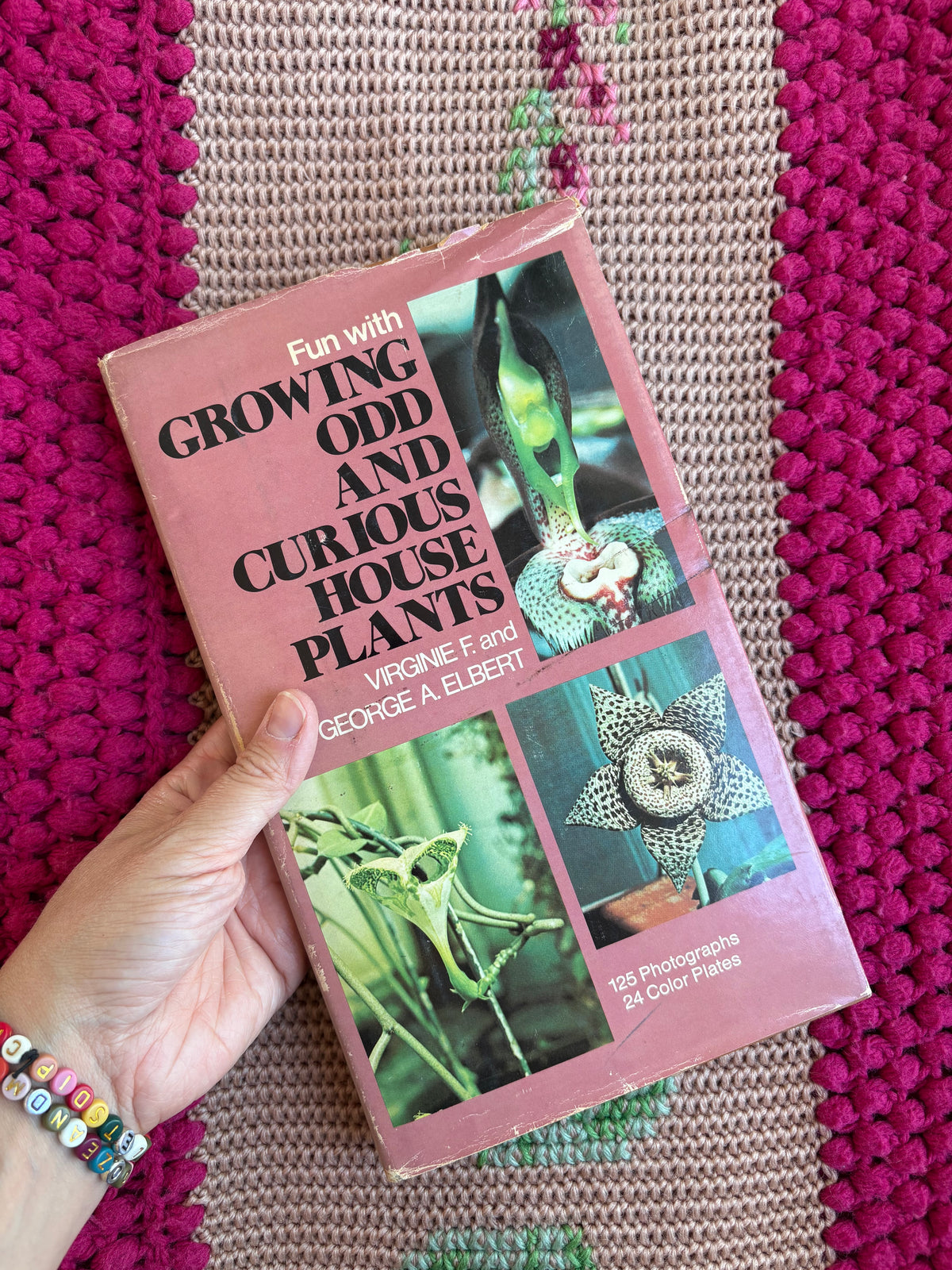 Fun with Growing Odd and Curious House Plants Vintage book