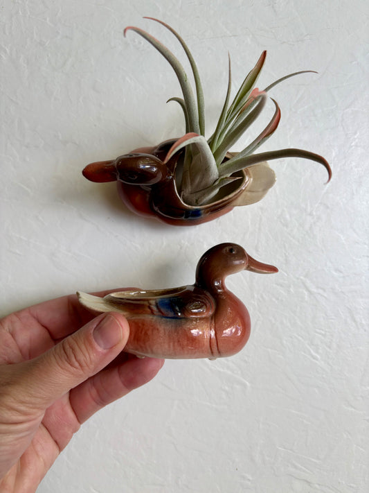 Tiny Ceramic Duck Planter Pair