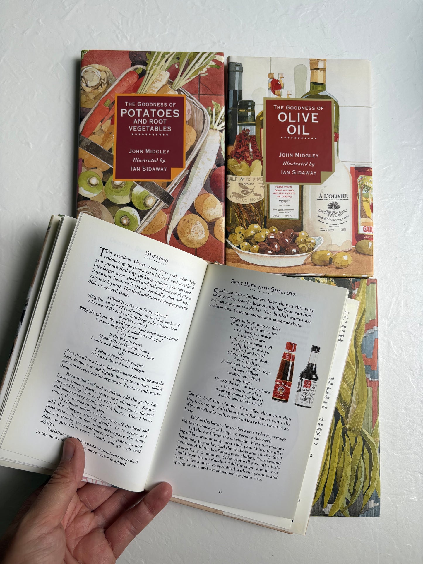 “The Goodness of” Cook Books Set